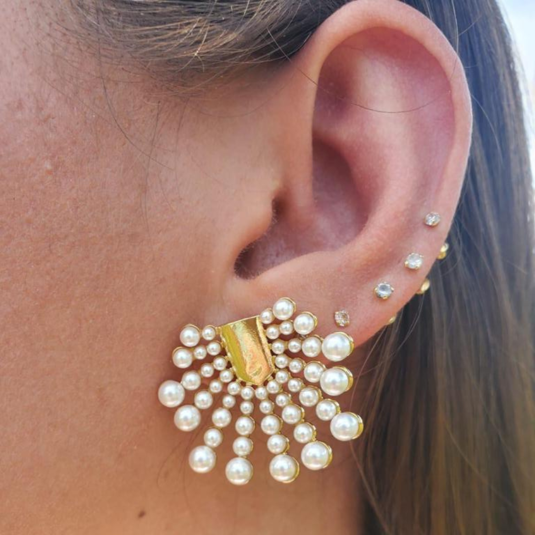 Luxurious earring